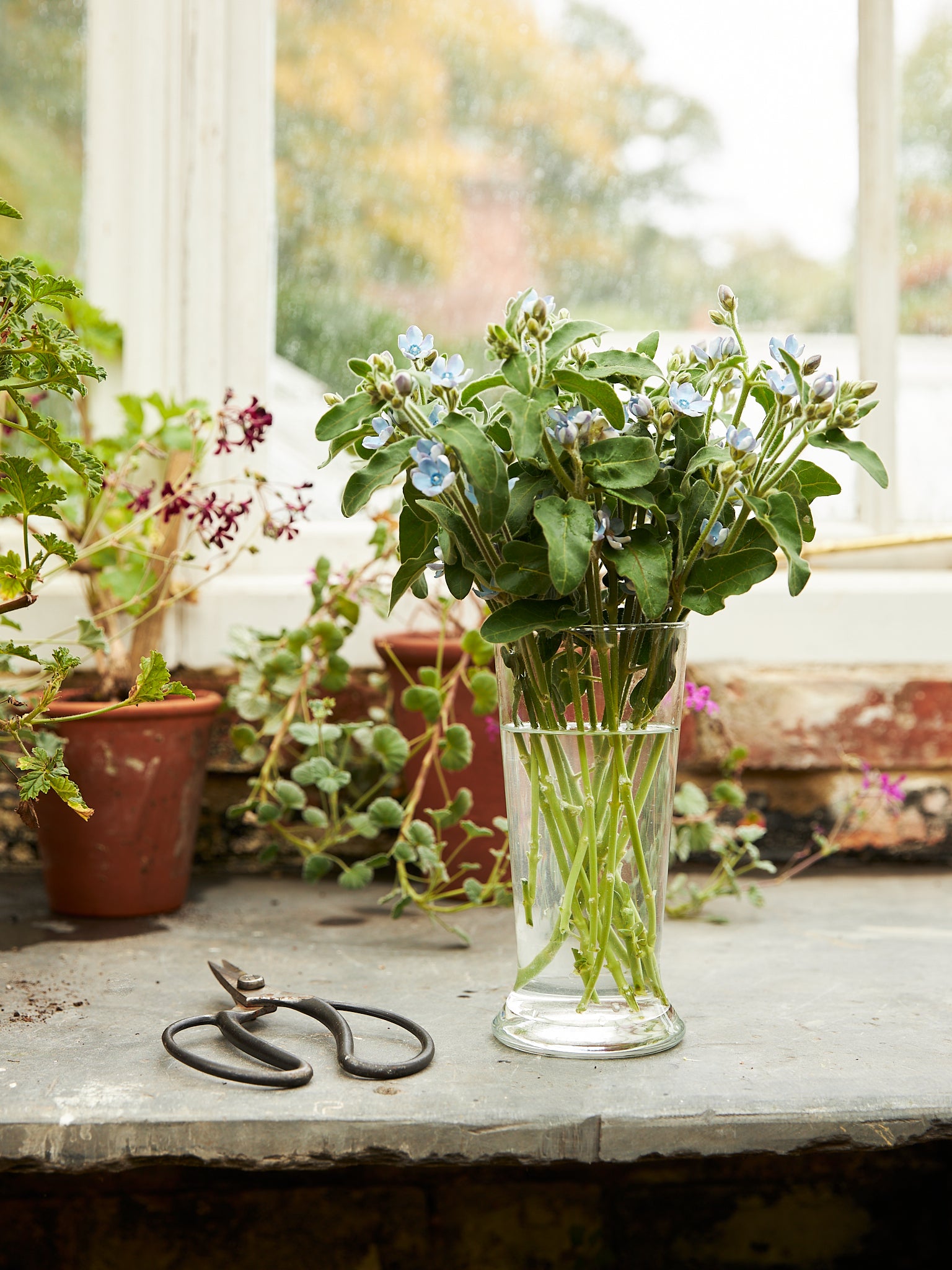 Flower Glass No 3