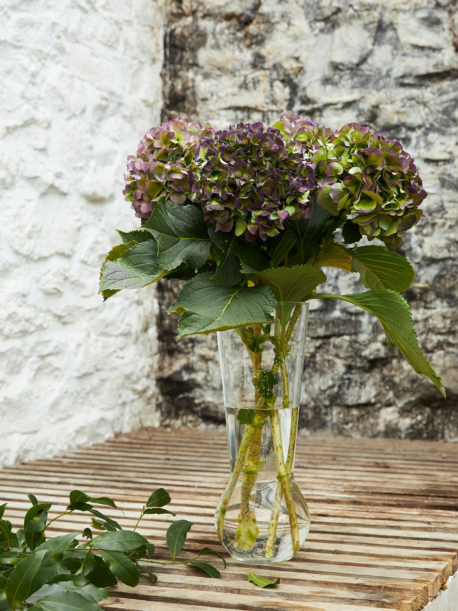 Flower Glass No 1