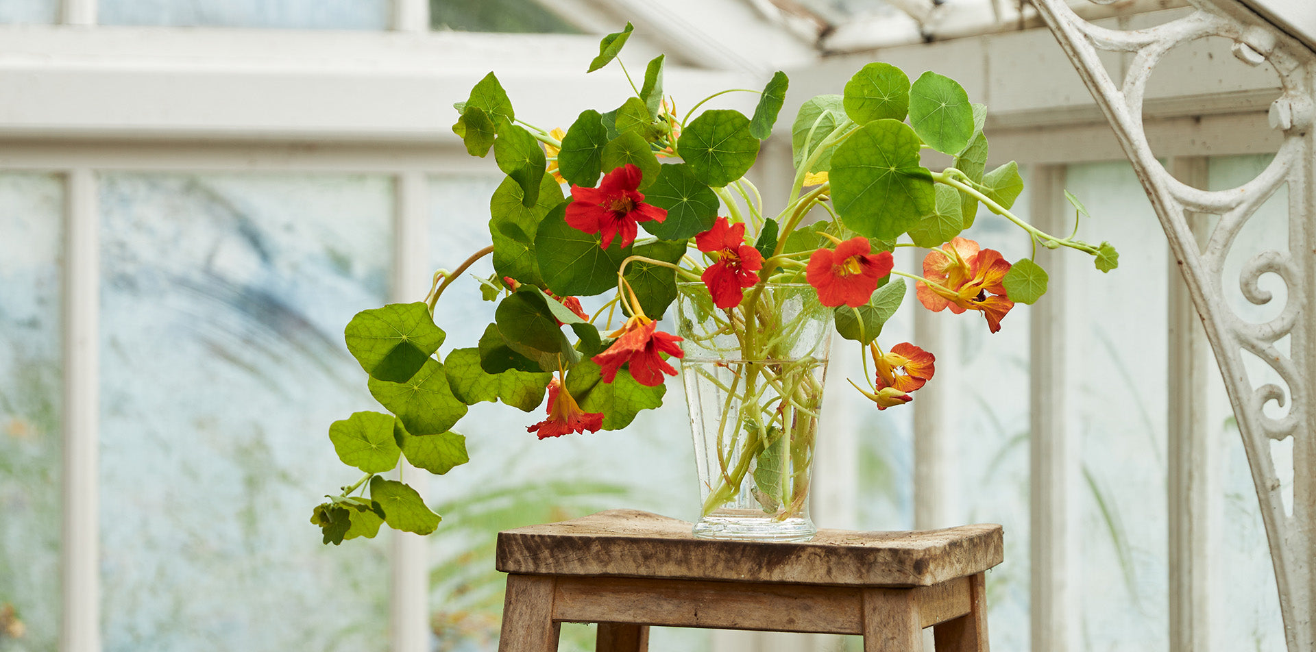 slider image 1621243260e1af0c20-0